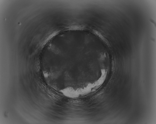 X0000100491213200807031908