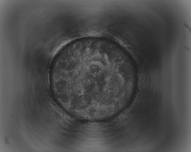 X0000100491214200807031908