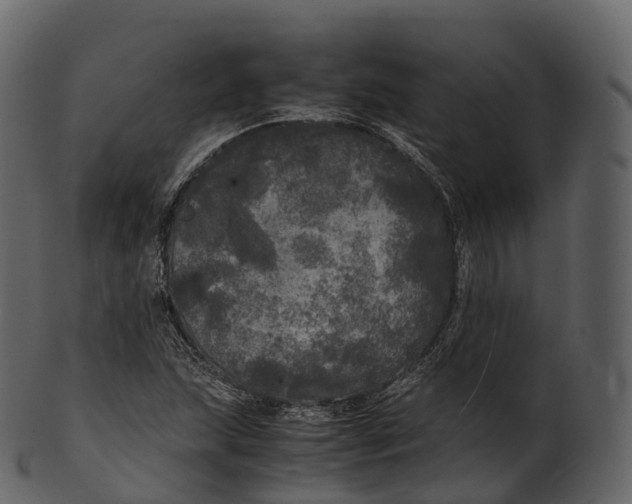 X0000100491215200807031908