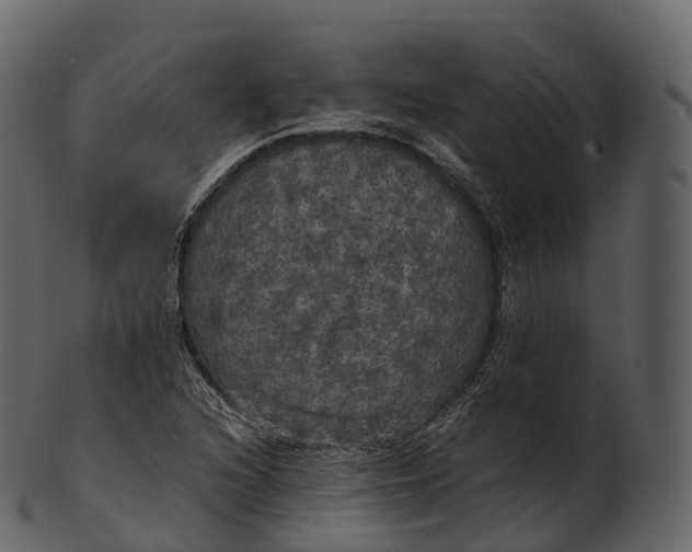 X0000100491216200807031908