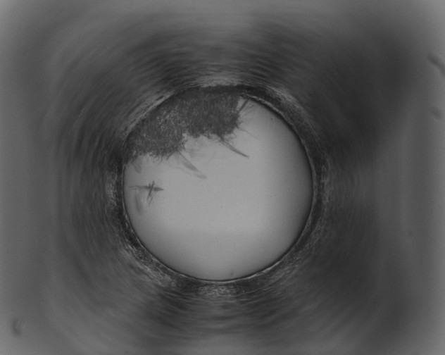 X0000100491217200807031908