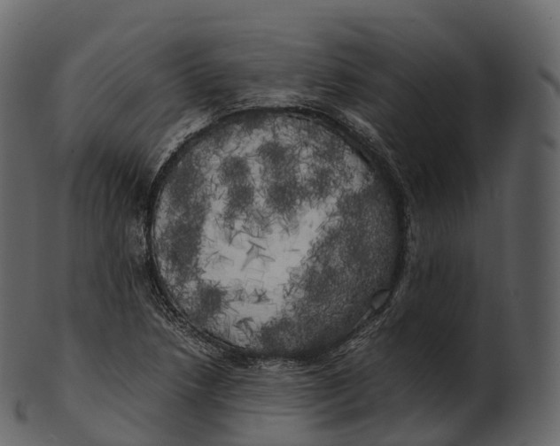 X0000100491218200807031908