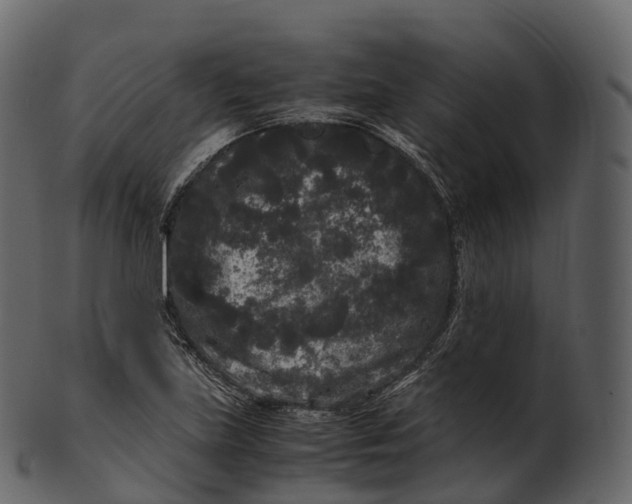 X0000100491219200807031908