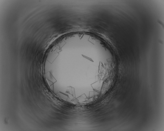 X0000100491220200807031908