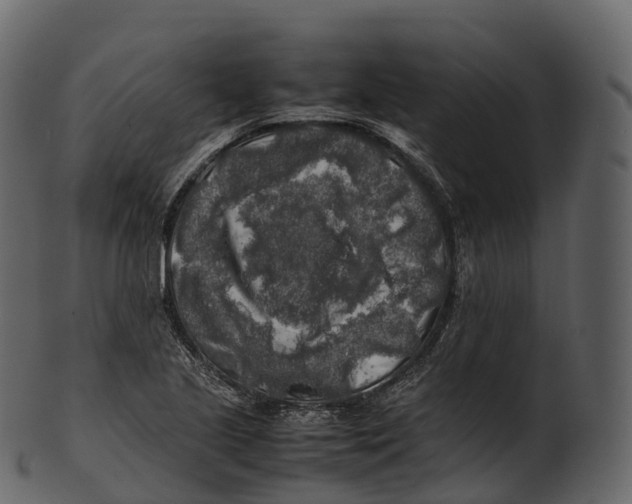 X0000100491221200807031908