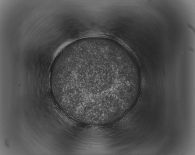 X0000100491222200807031908