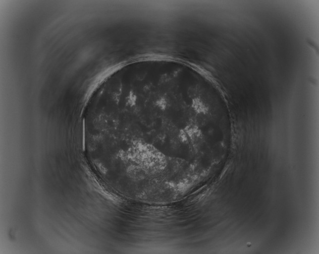 X0000100491223200807031908