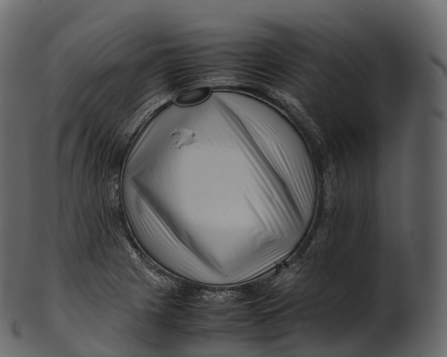 X0000100491225200807031908