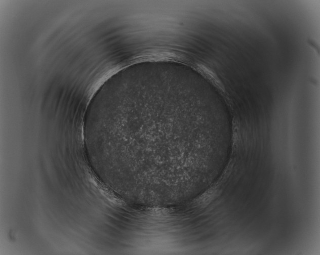 X0000100491226200807031908