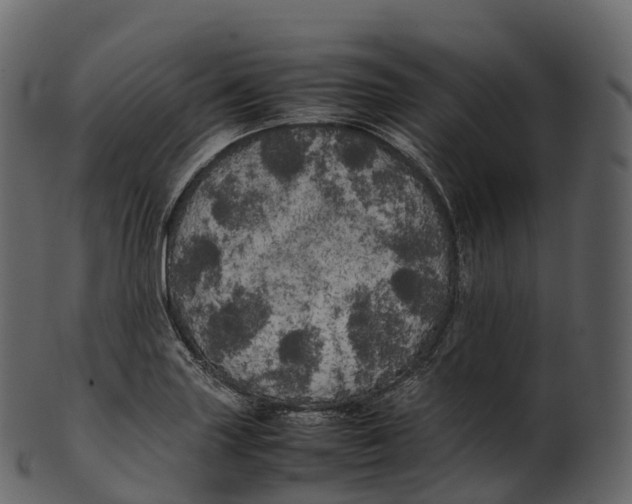 X0000100491227200807031908