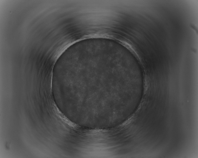 X0000100491228200807031908