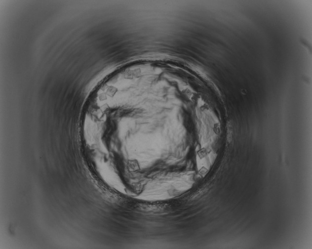 X0000100491229200807031908