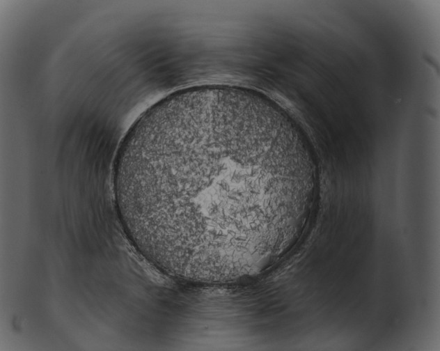 X0000100491230200807031908