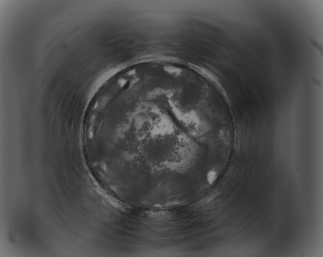 X0000100491231200807031908