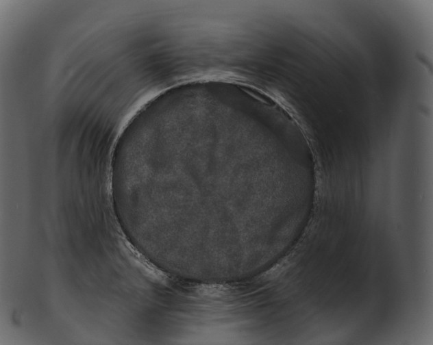 X0000100491232200807031908