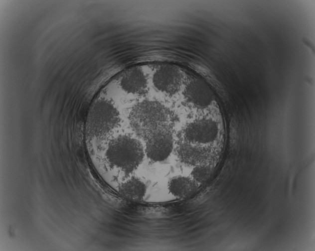 X0000100491233200807031908