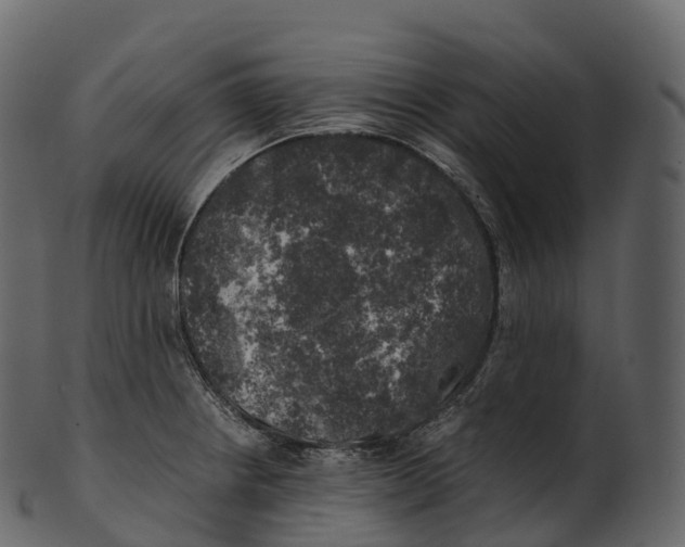 X0000100491234200807031909