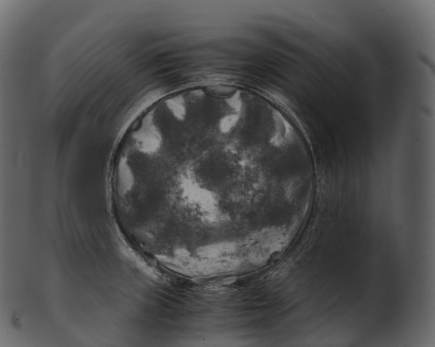 X0000100491235200807031909