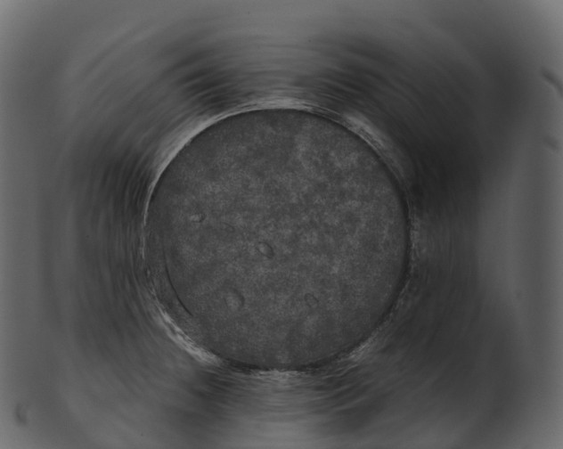 X0000100491236200807031909