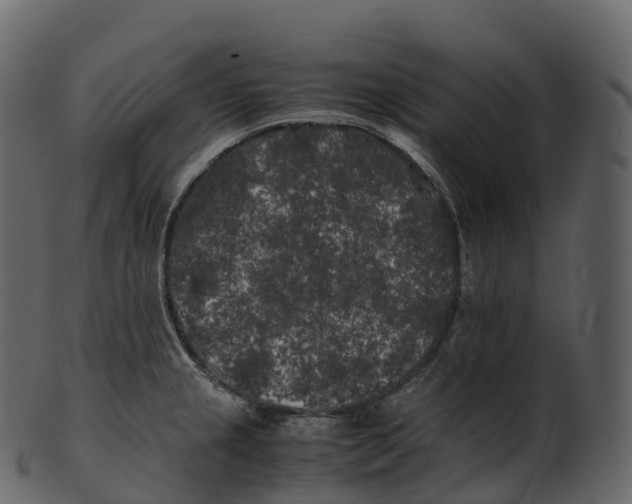 X0000100491237200807031909