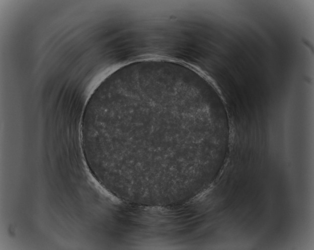 X0000100491239200807031909