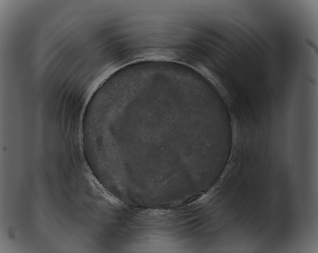 X0000100491240200807031909