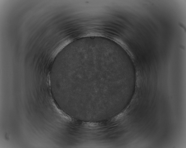 X0000100491241200807031909