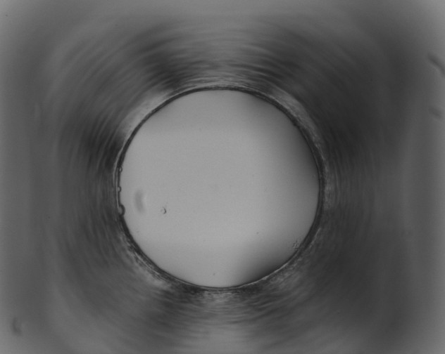 X0000100491242200807031909