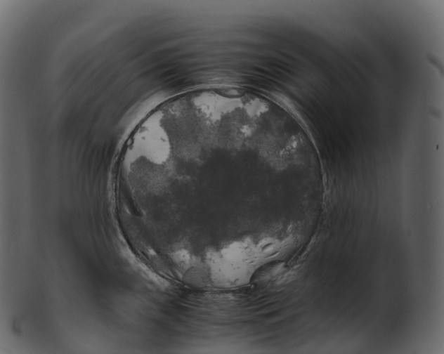 X0000100491243200807031909