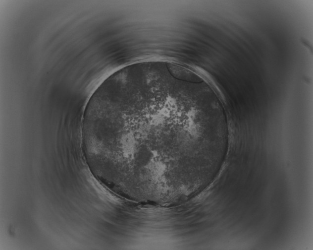 X0000100491244200807031909