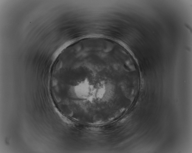 X0000100491245200807031909