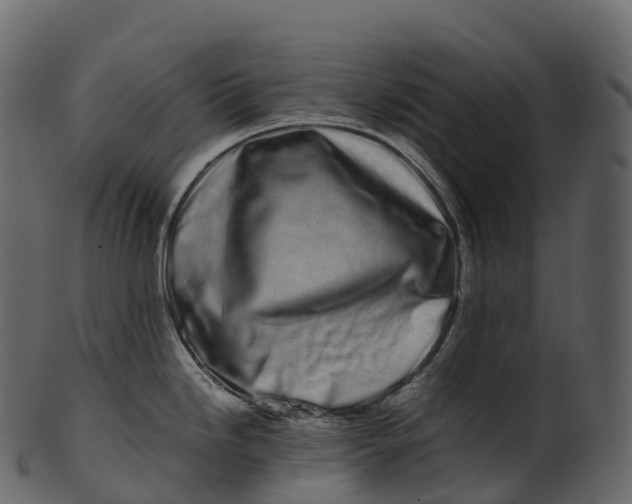 X0000100491246200807031909