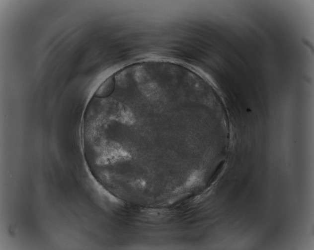 X0000100491247200807031909