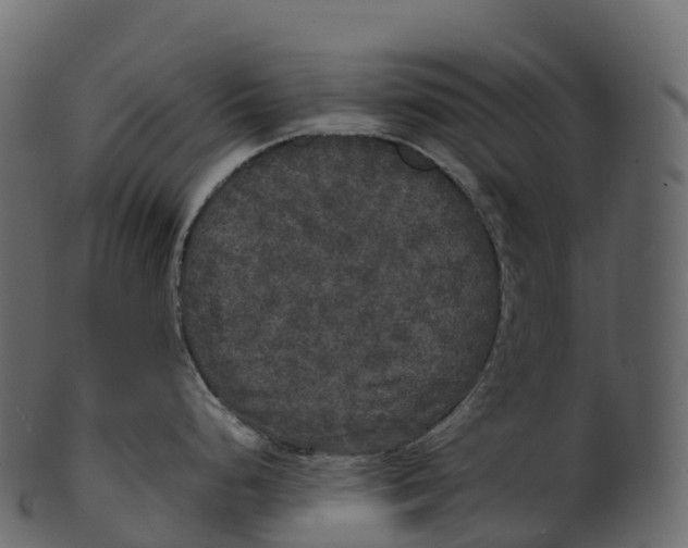 X0000100491248200807031909