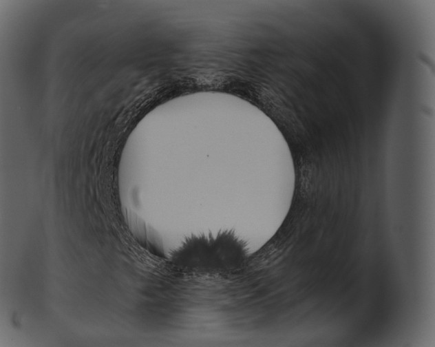 X0000100491249200807031908