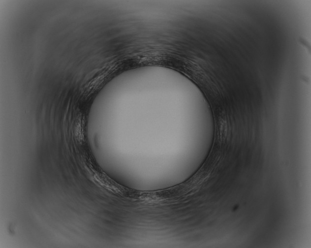 X0000100491250200807031908