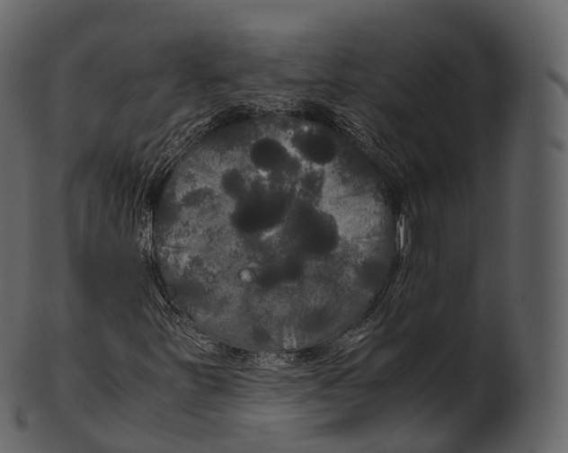 X0000100491251200807031908