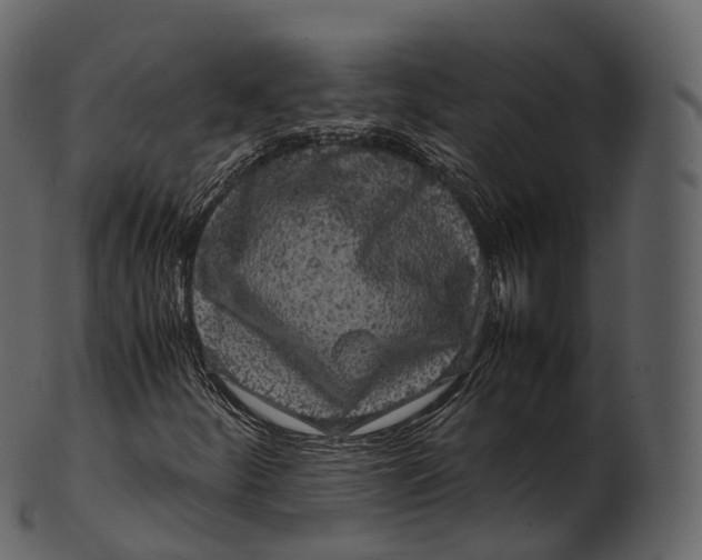 X0000100491252200807031908