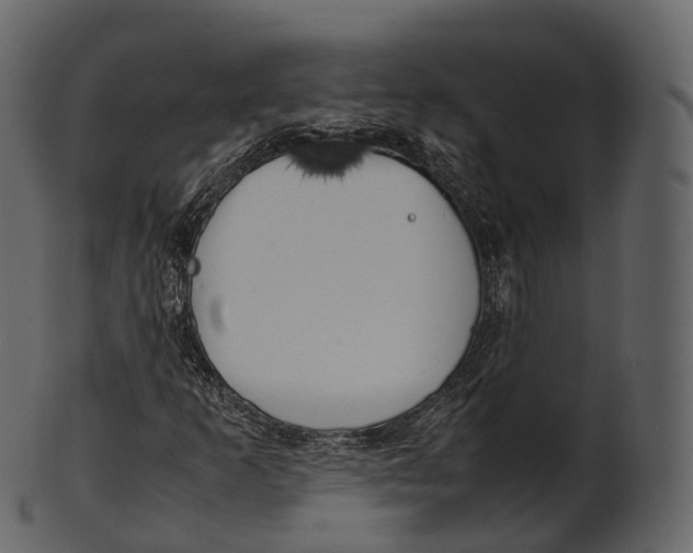 X0000100491253200807031908