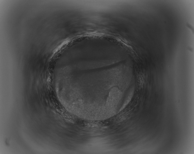 X0000100491254200807031908