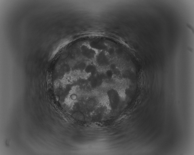 X0000100491255200807031908