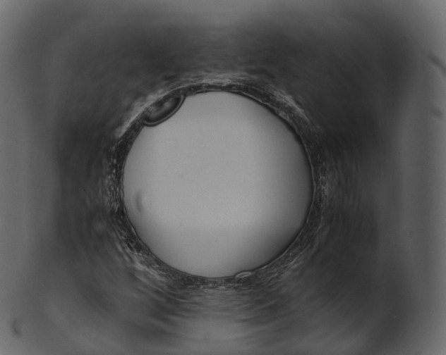 X0000100491256200807031908