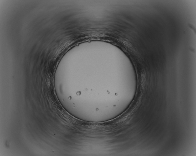 X0000100491257200807031908