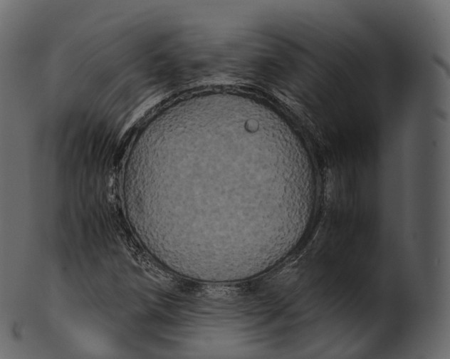 X0000100491258200807031908