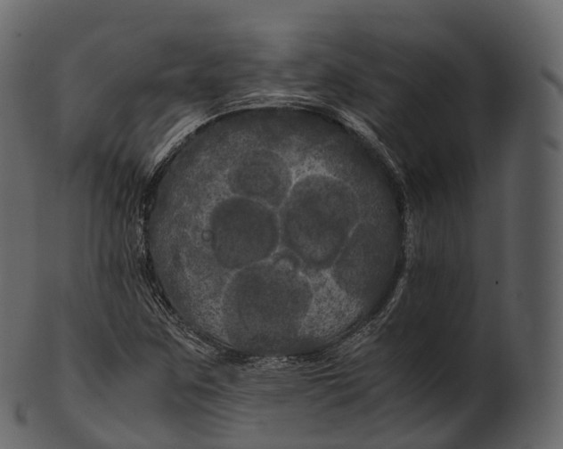 X0000100491259200807031908