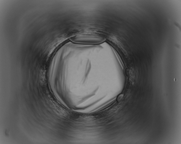 X0000100491260200807031908