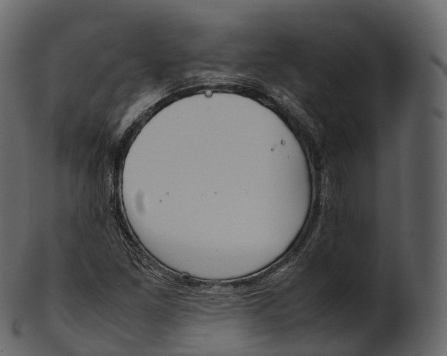 X0000100491261200807031908