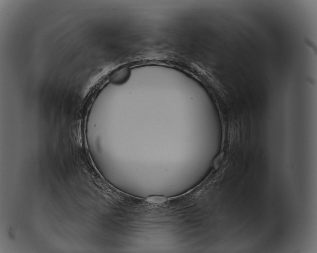 X0000100491262200807031908