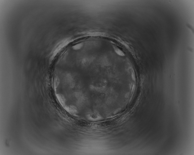 X0000100491263200807031908