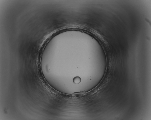 X0000100491264200807031908